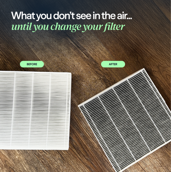 Blueair Blue Pure 311i Max AllergenBlock Replacement Filter with Carbon