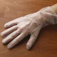 Vinyl Gloves (Powder/Latex-free) Vinyl Gloves (Powder/Latex-free)