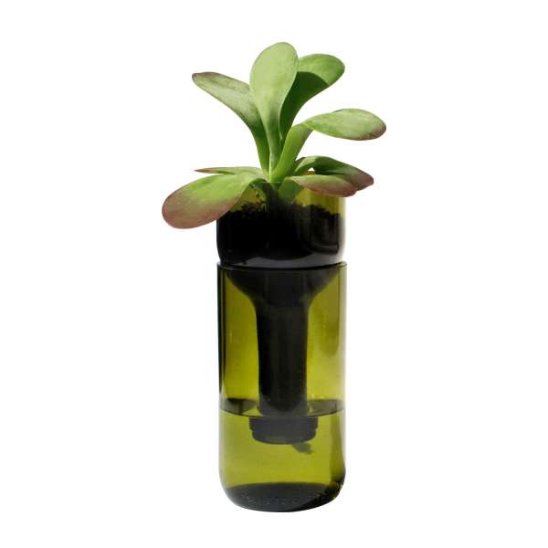 Side by Side flower pot self watering Side by Side flower pot self watering