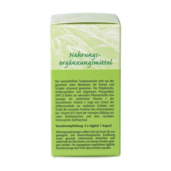 Grape seed extract with OPC and B12