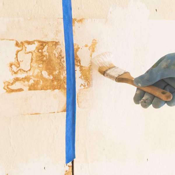 Cretaceous time Shellac Insulating primer white - insulating and shut-off