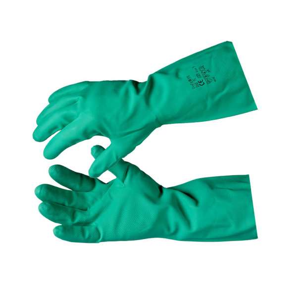 Plastic Gloves (Powderfree) Plastic Gloves (Powderfree)