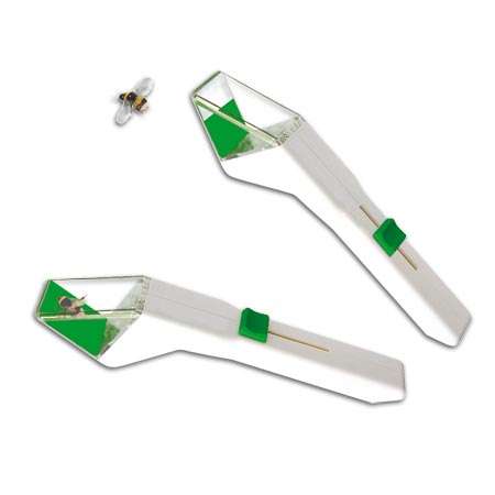 Insect Trap (Catch & Release Alive)