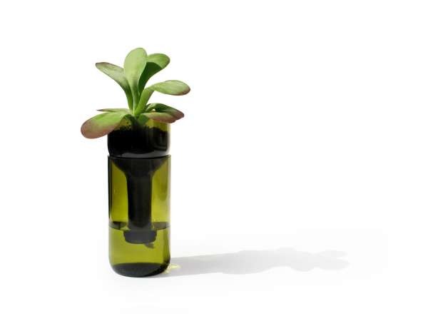 Side by Side flower pot self watering