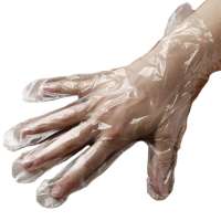 Disposable Plastic Gloves Disposable Plastic Gloves