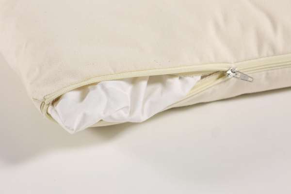 Millet Pillow (certified organic)
