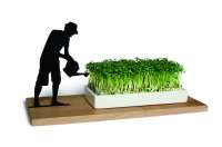 Cress Dish "Smart & Green"