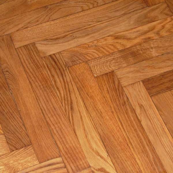 Cretaceous period Carnauba wax emulsion Concentrate for floor care
