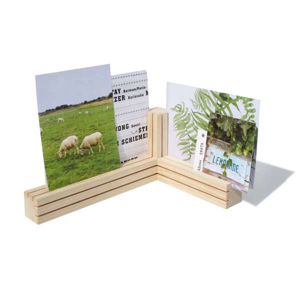 Side by Side card holder TRI,