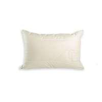 Tencel pillow for allergy sufferers with organic cotton cover Tencel pillow for allergy sufferers with organic cotton cover