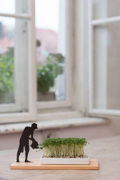 Cress Dish "Smart & Green"