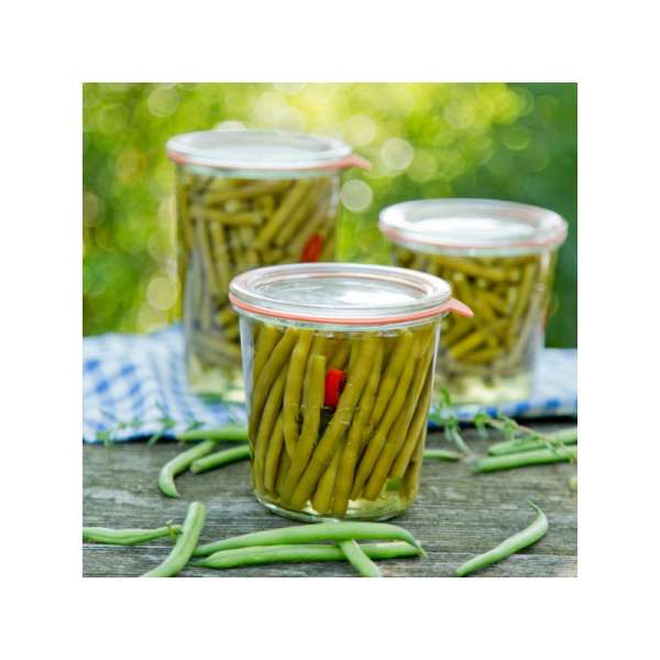 WECK 500 ml Mold Jars with Glass Lids – Set of 6