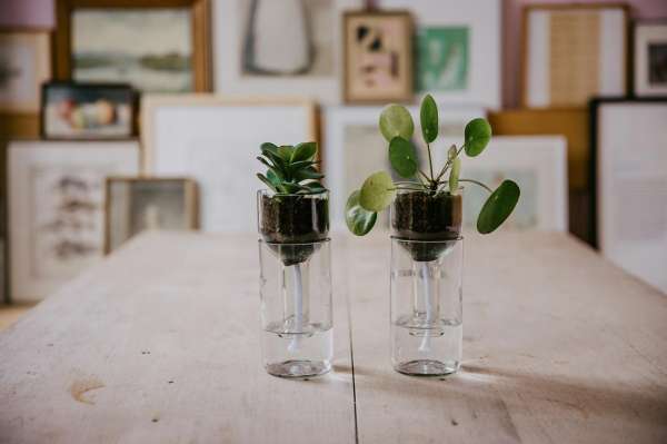 Side by Side flower pot self watering