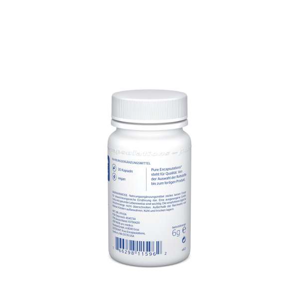 Pure Encapsulations - PURE Hyaluronic Acid Oral Use