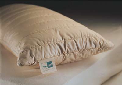 Kapok Pillow