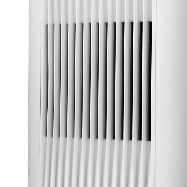 Blueair DustMagnet 5210i