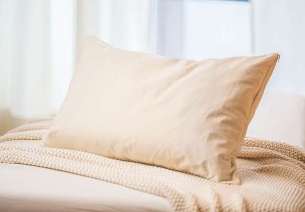 Millet Pillow (certified organic)