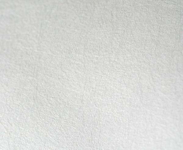 Allermed Encasing pillow mite cover pillow