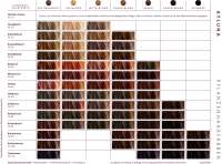 Preview: Ayluna cinnamon brown hair color - pure vegetable hair coloring, PPD free Preview: Ayluna cinnamon brown hair color - pure vegetable hair coloring, PPD free