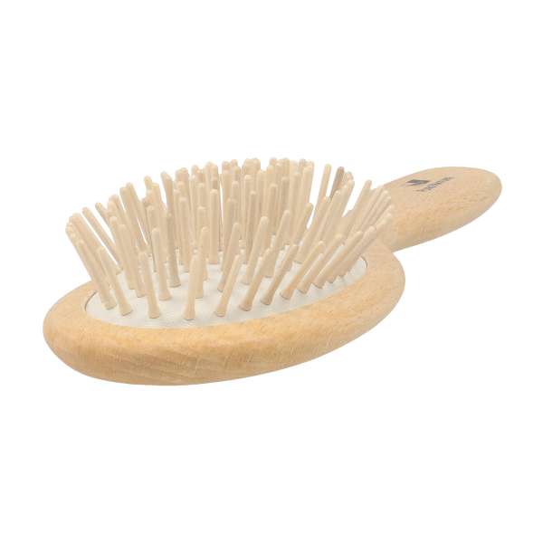 Hairbrush With Wooden Pegs