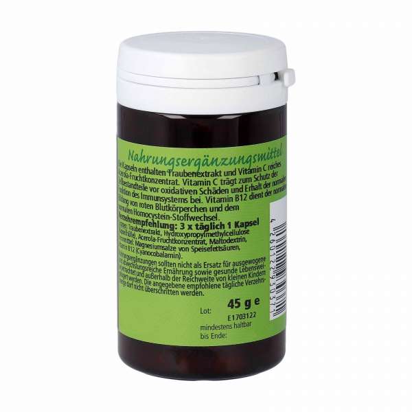 Grape seed extract with OPC and B12